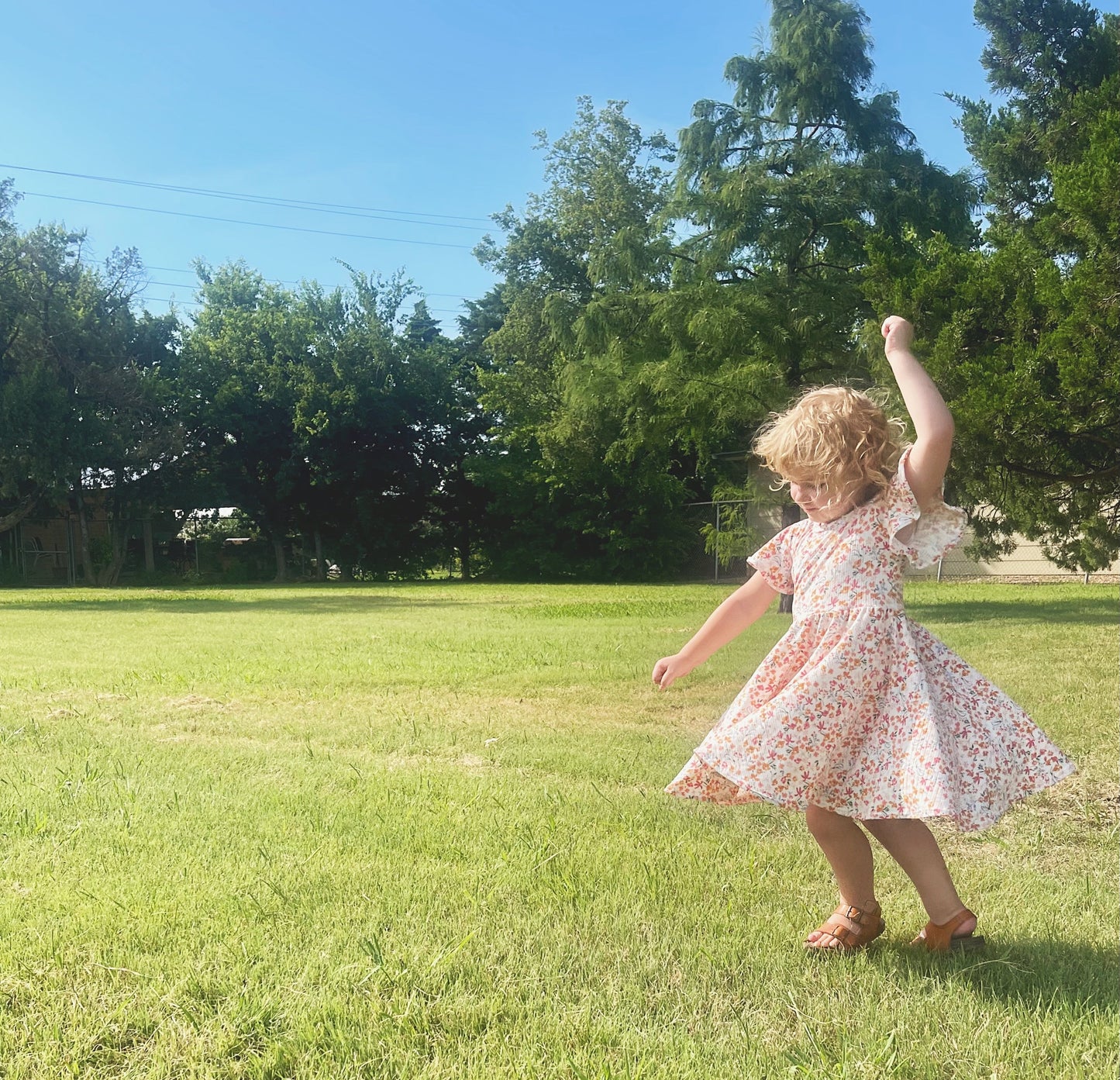 Watercolor Floral Rib Knit Twirly Dress with Flutter Sleeves