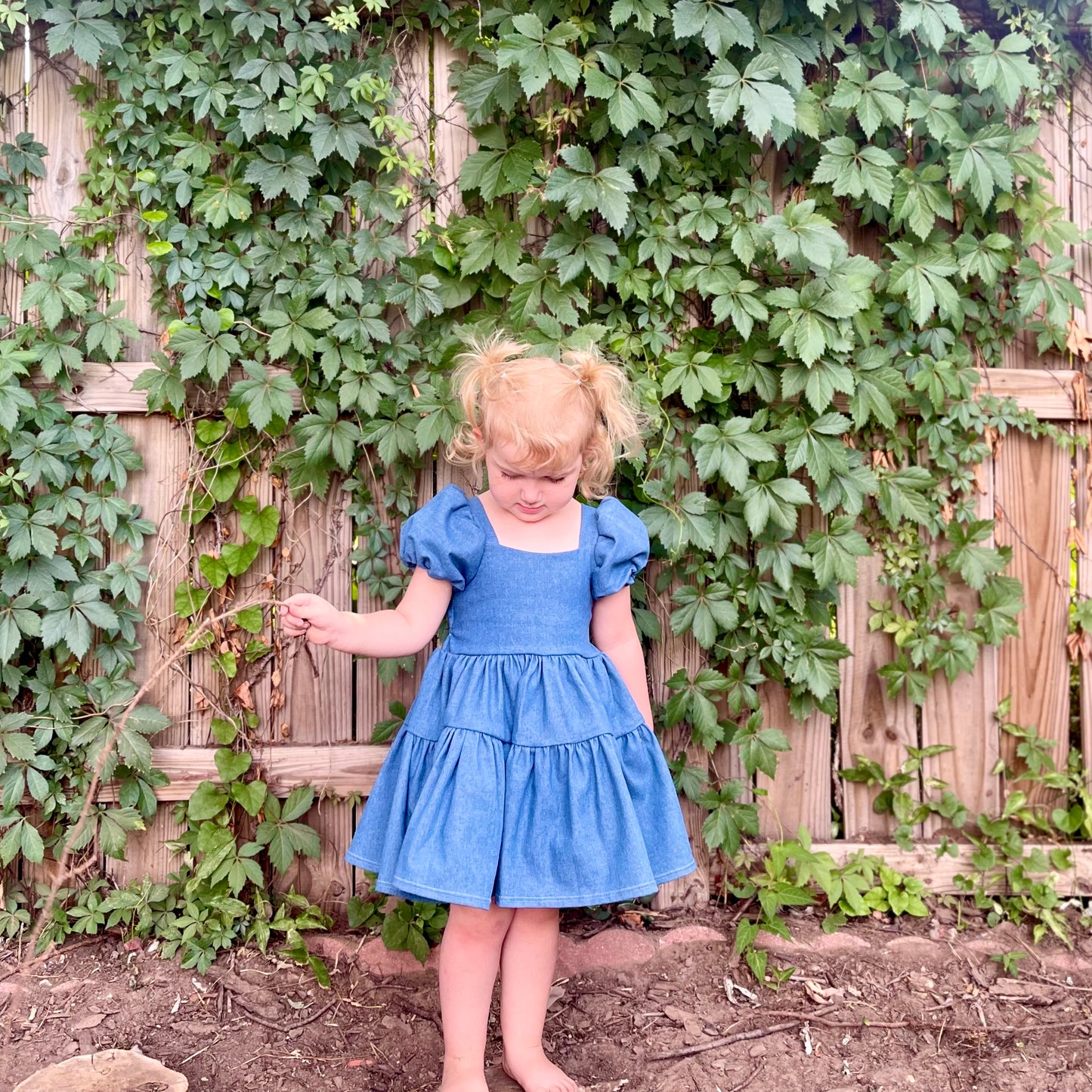 Flutter and Bloom Dress Denim
