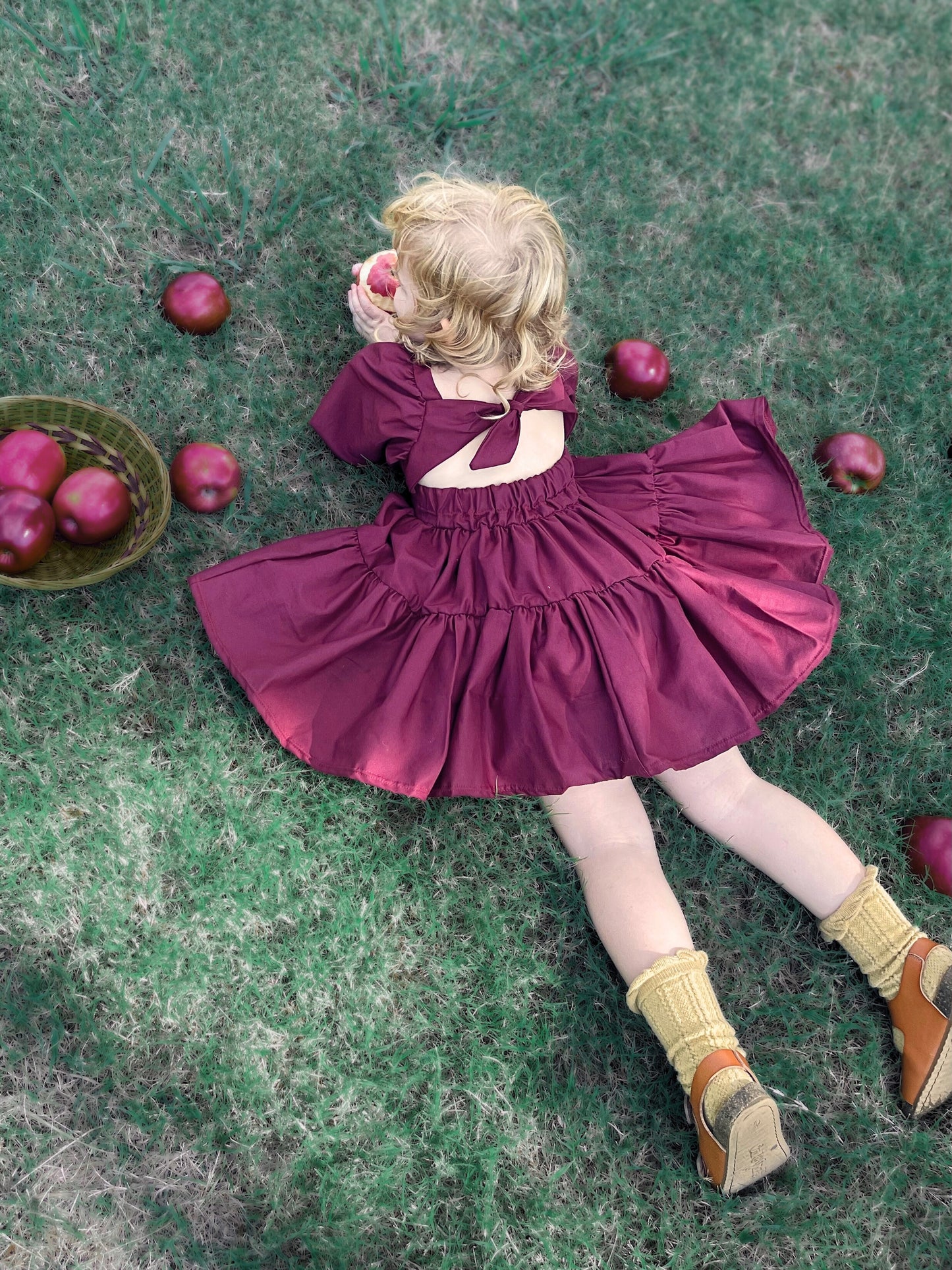 Berry Flutter and Bloom Dress with Balloon Sleeves