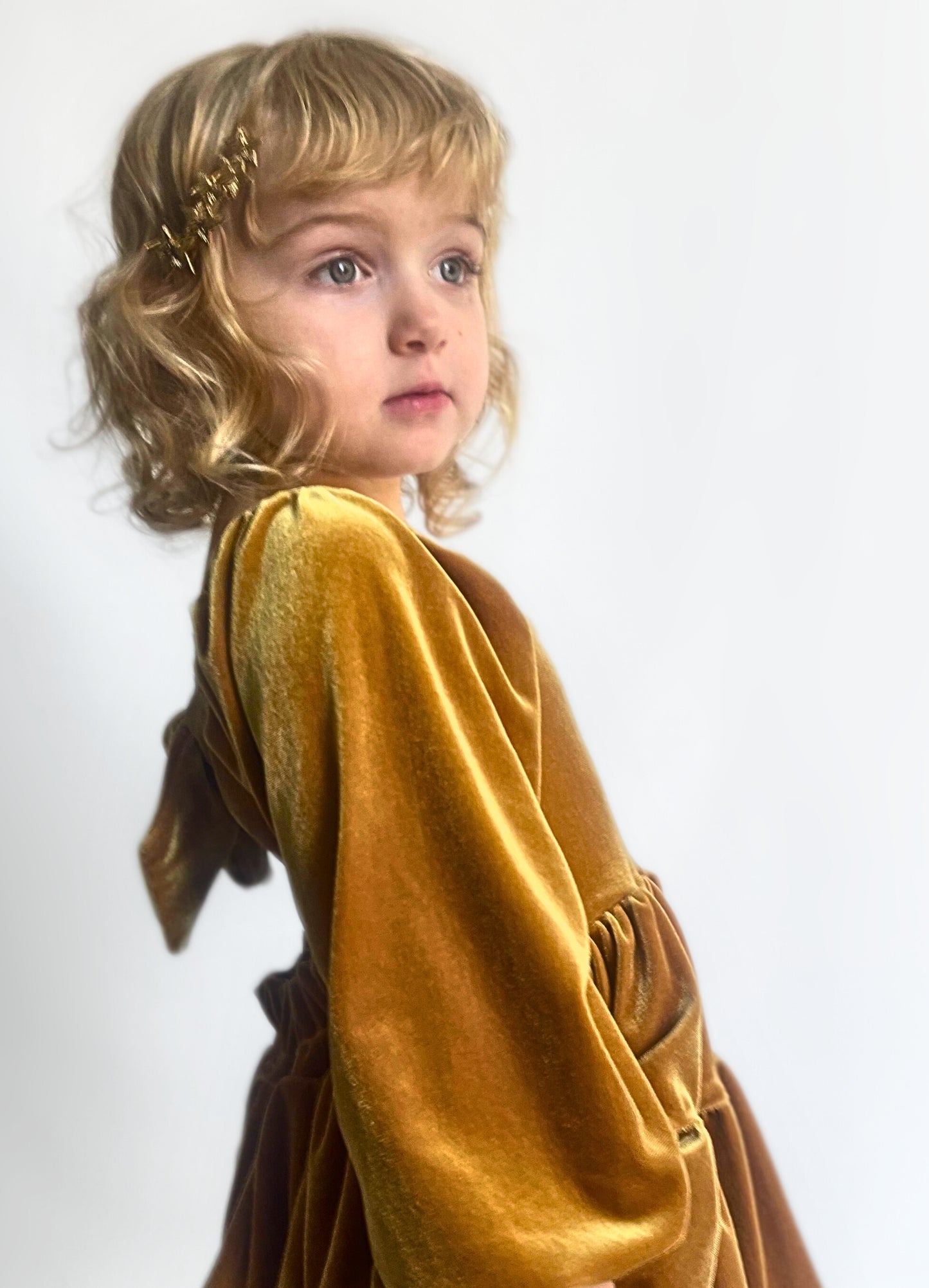 Velvet Gold Flutter and Bloom Dress with Balloon Sleeves