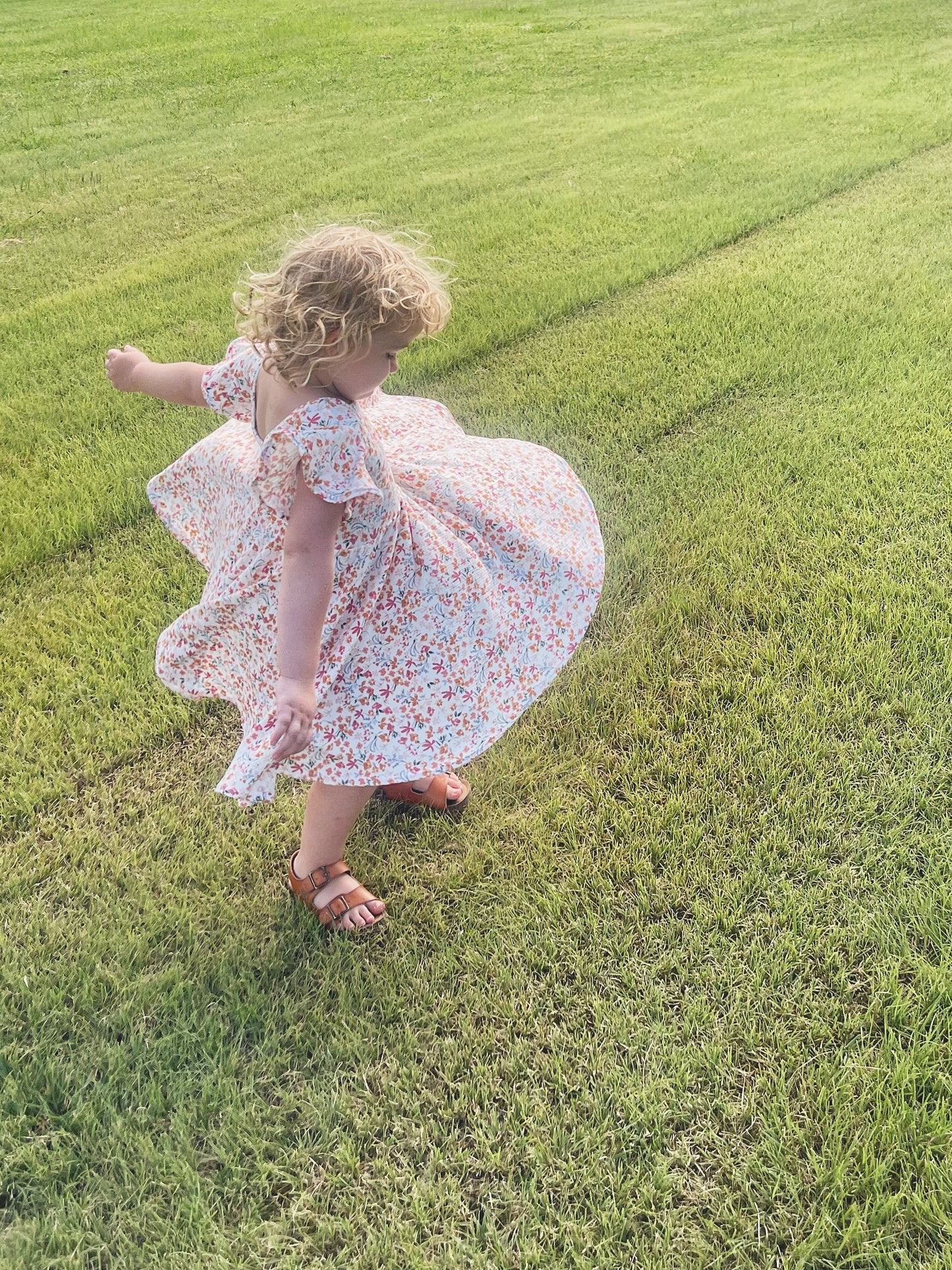 Watercolor Floral Rib Knit Twirly Dress with Flutter Sleeves