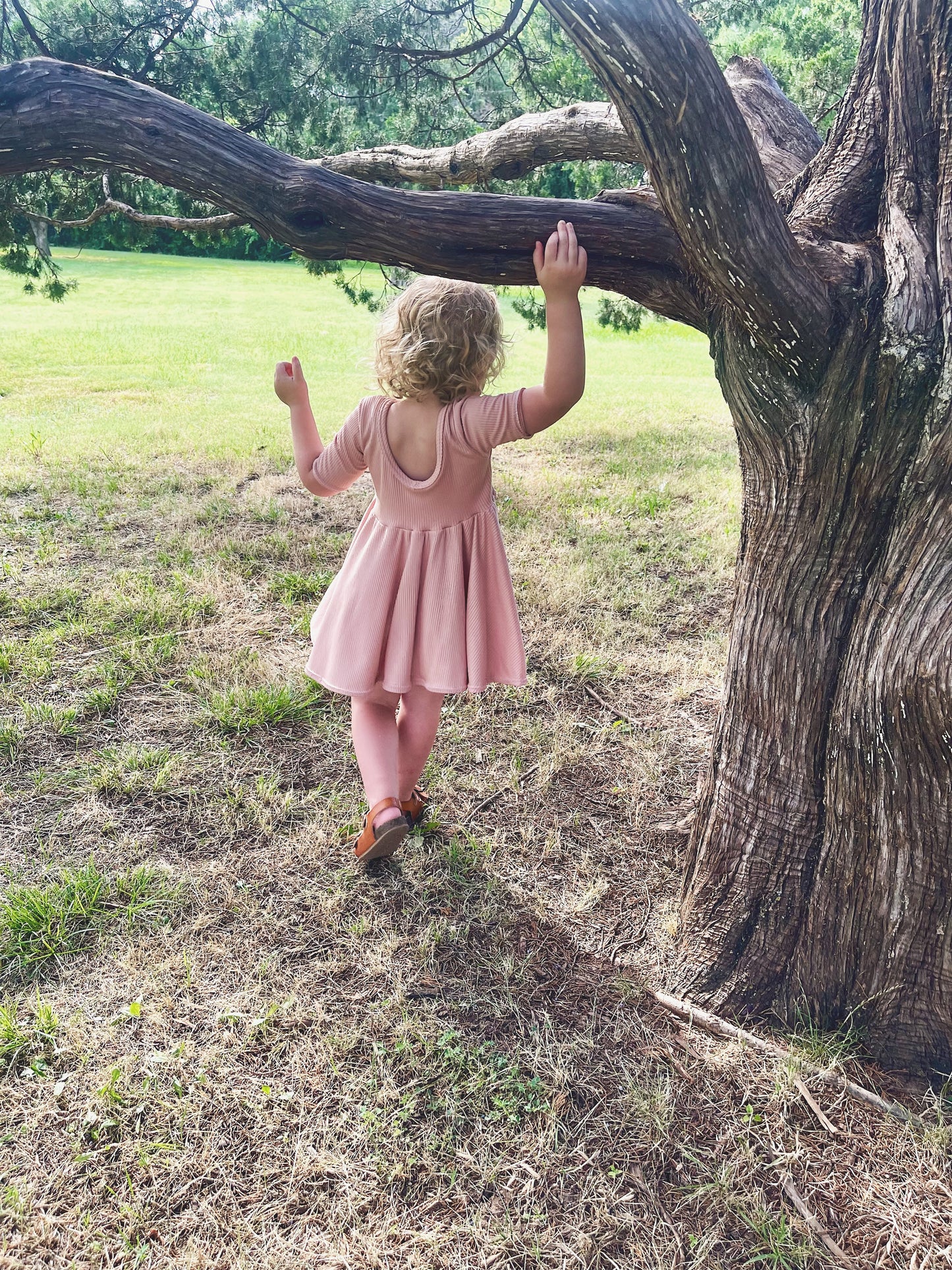 Blush Ribbed Ballerina Twirly Dress