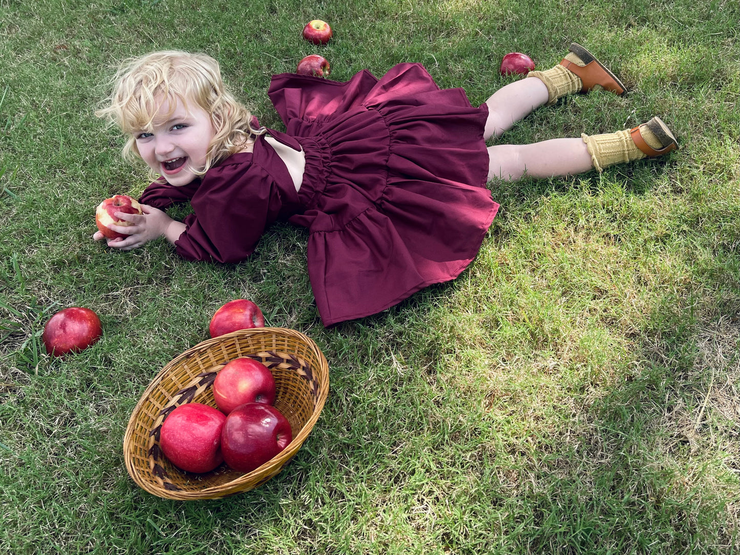 Berry Flutter and Bloom Dress with Balloon Sleeves