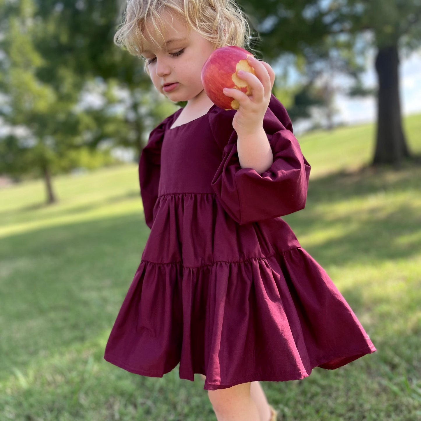 Berry Flutter and Bloom Dress with Balloon Sleeves
