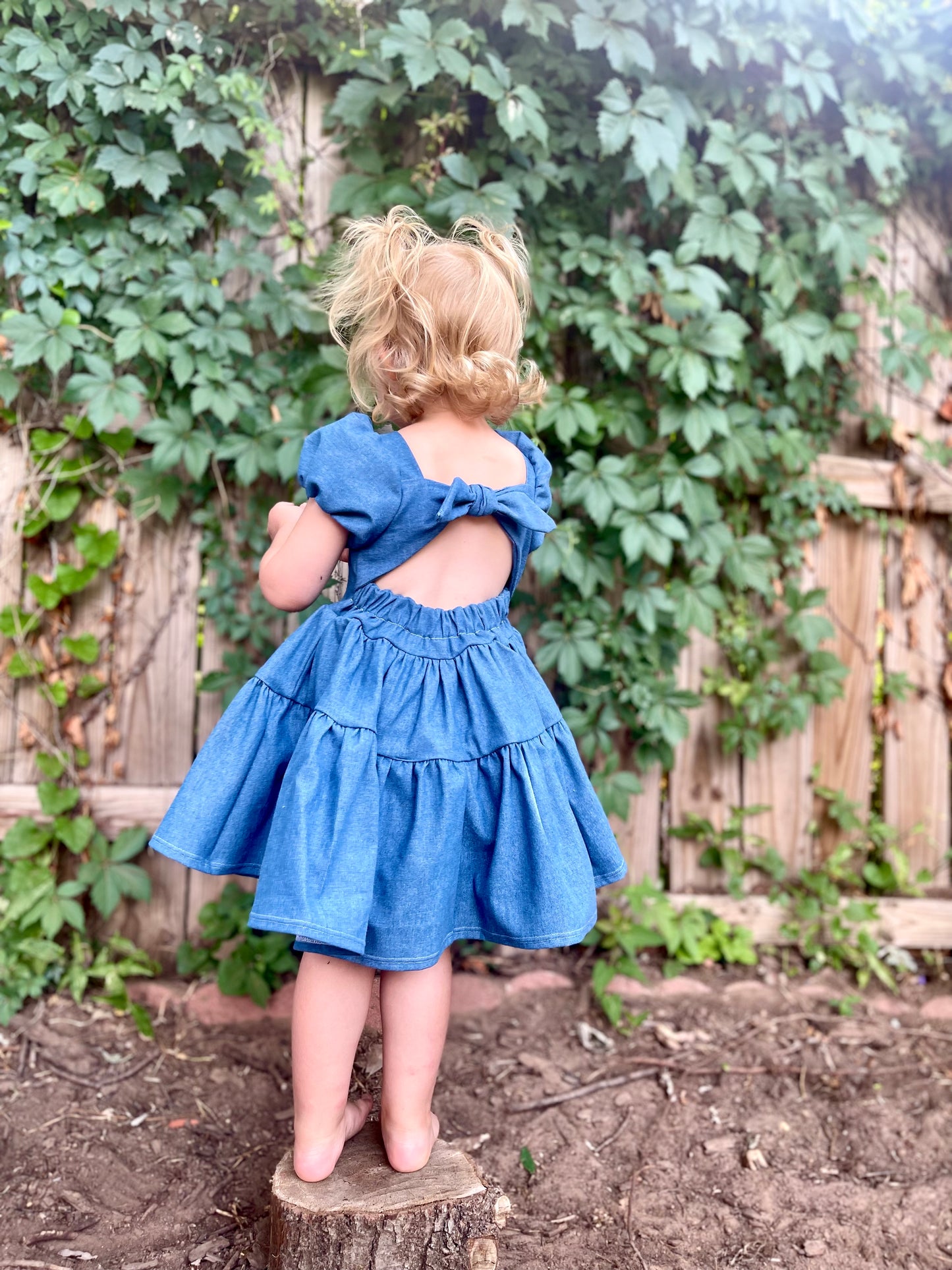 Flutter and Bloom Dress Denim