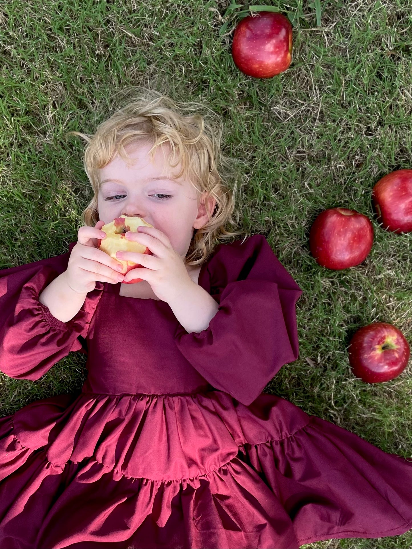 Berry Flutter and Bloom Dress with Balloon Sleeves