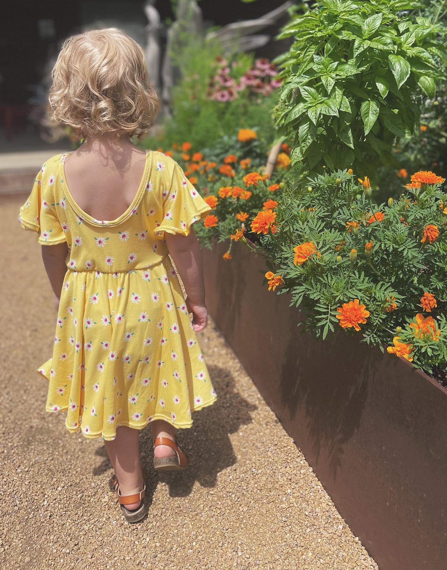 Dancing Daisies Twirly Dress