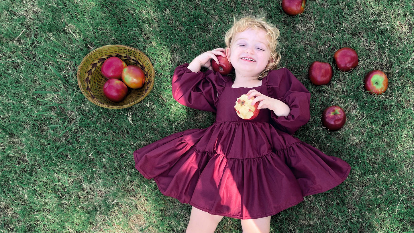 Berry Flutter and Bloom Dress with Balloon Sleeves