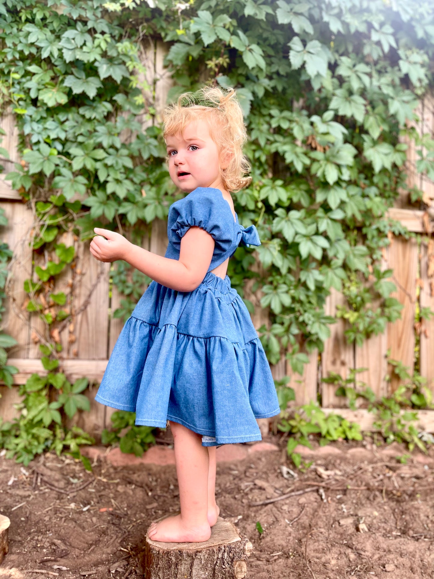 Flutter and Bloom Dress Denim