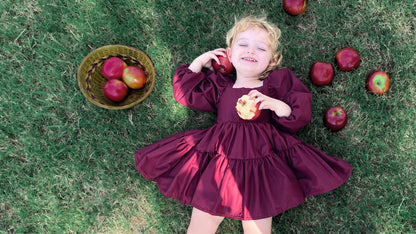 Berry Flutter and Bloom Dress with Balloon Sleeves