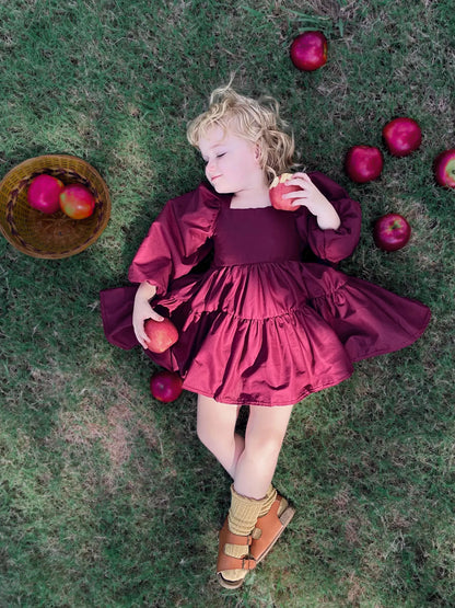 Berry Flutter and Bloom Dress with Balloon Sleeves